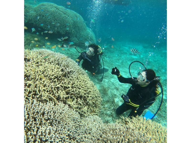 [Okinawa/Uruma City] Authentic diving experience with boat entry!