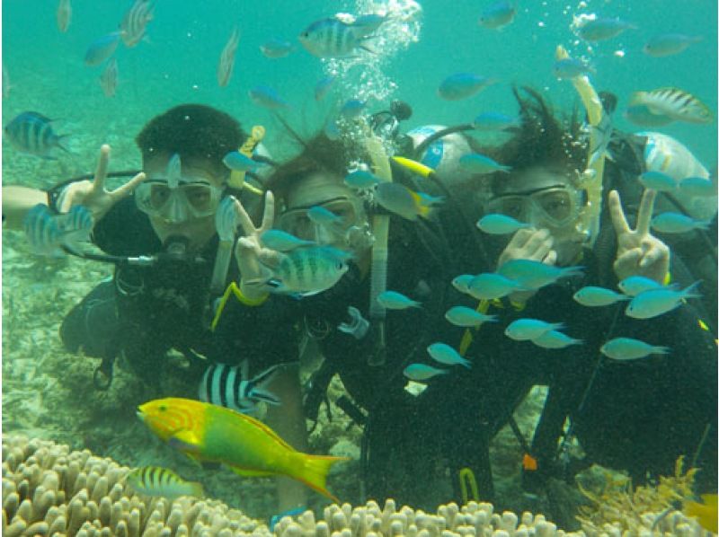 [Okinawa/Uruma City] Authentic diving experience with boat entry!