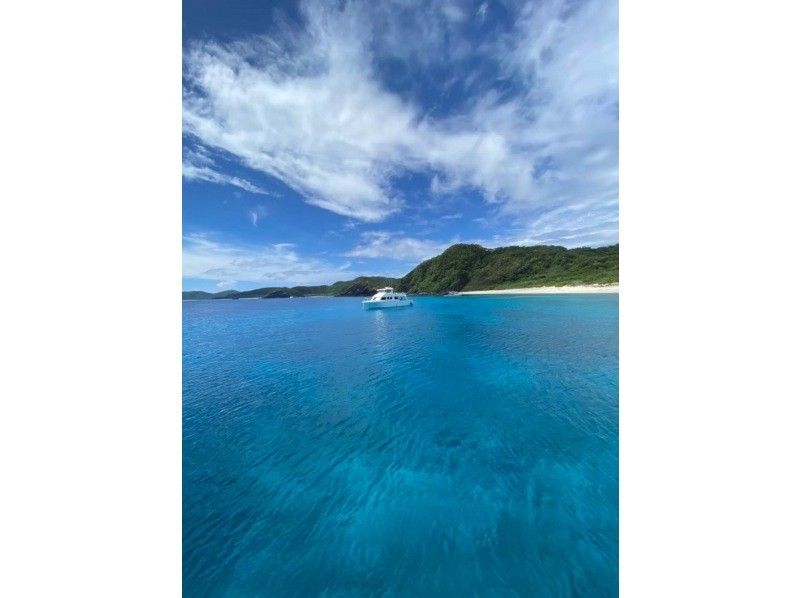[From Naha, Kerama Islands lunch included] 2 boat FUN dives ☆ Beginners welcome!の紹介画像