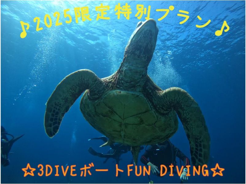 【那覇発・慶良間】期間限定2名以上参加で3DIVE17900円キャンペーン☆ボートFUNダイビング３本☆の紹介画像