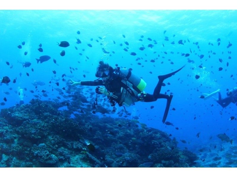 【那覇発・慶良間】期間限定2名以上参加で3DIVE18000円キャンペーン☆器材レンタル込み☆ボートFUNダイビング３本☆の紹介画像