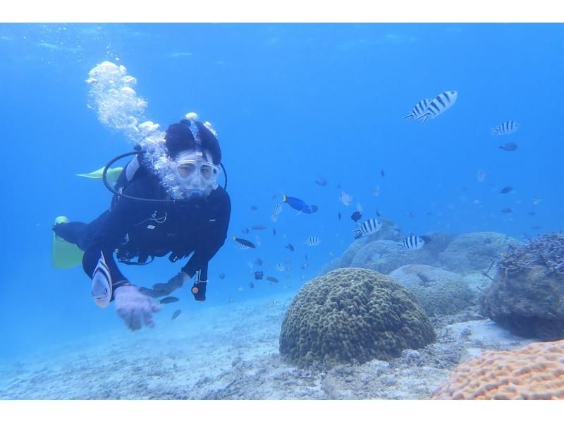 【沖縄 恩納村青の洞窟】『青の洞窟ボート体験ダイビング&パラセールセット』の紹介画像