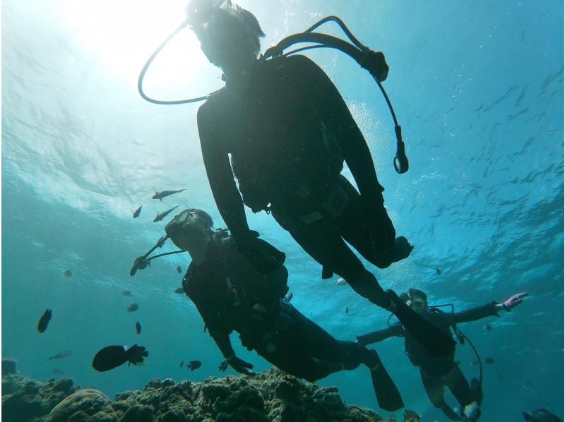 【沖縄 恩納村青の洞窟】『青の洞窟ボート体験ダイビング&パラセールセット』の紹介画像