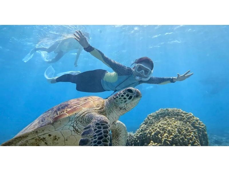 [อามามิโอชิมะ/การดำน้ำตื้น(Snorkeling)] คุณสามารถเพลิดเพลินได้แม้ในฤดูหนาว♪ว่ายน้ำกับเต่าทะเลในอามามิ! ประสบการณ์การดำน้ำตื้นชายหาดที่ปลอดภัย! ของขวัญถ่ายรูป ☆《F Plan》の紹介画像