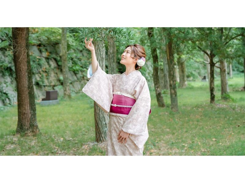 Osaka Kimono Rental 6-hour plan (Hair styling included, unlimited hair accessories)の紹介画像