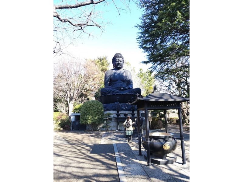 [Itabashi, Tokyo] 6Km Tokyo Great Buddha and other walking walks (botanical garden, art museum, local museum, back alleys, many attractions)の紹介画像