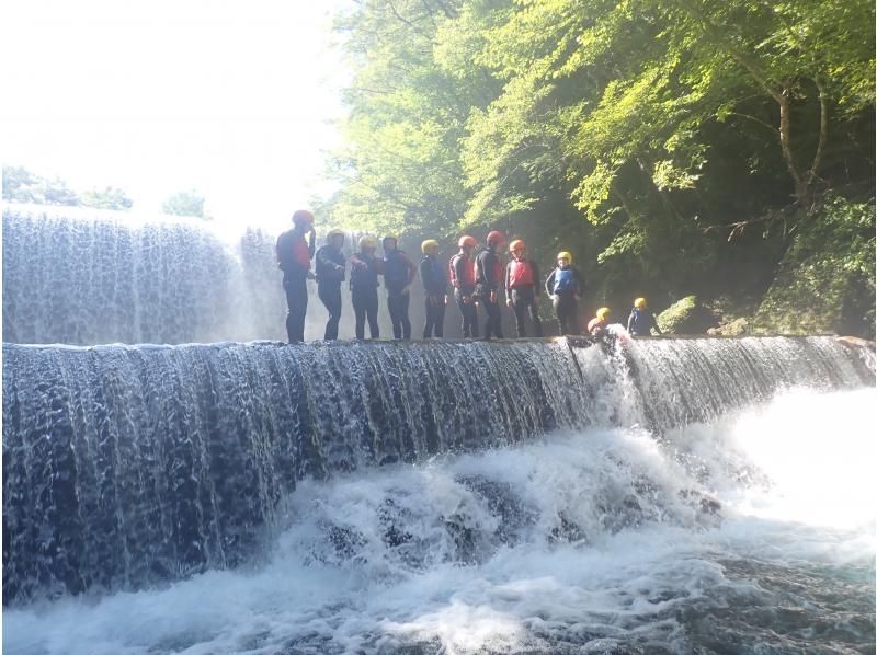 【栃木・那須】夏は川にどぼーーーーん! シャワークライミング　ジップラインコースの紹介画像