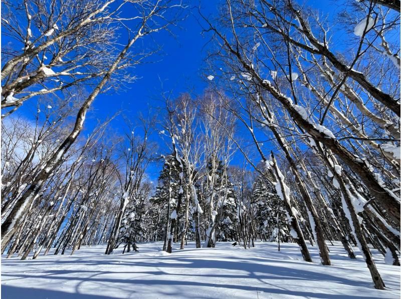 【北海道・定山渓】定山渓温泉の森でスノーシュー体験 <初心者OK・レクチャー付>