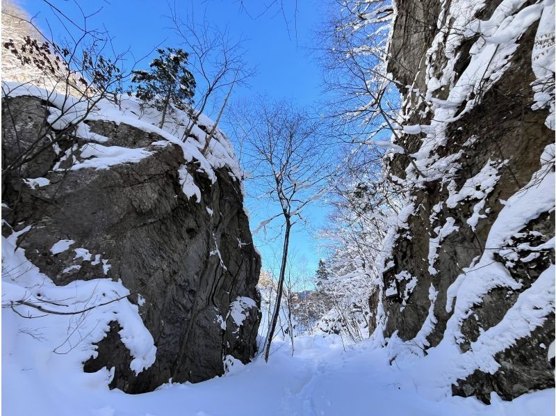 [Hokkaido/Jozankei] Snowshoe experience in Jozankei Onsen Forest <Beginners OK/Lecture included>の紹介画像