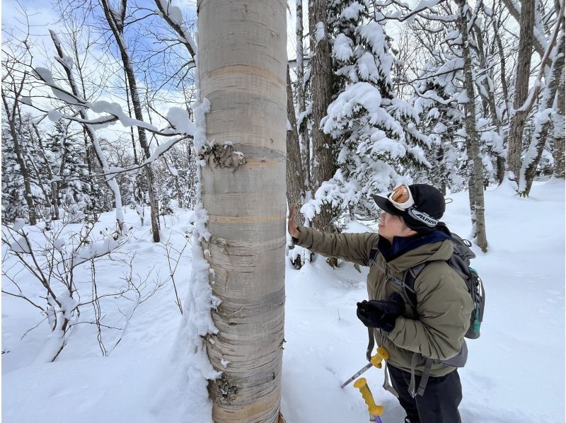 [Hokkaido/Jozankei] Snowshoe experience in Jozankei Onsen Forest <Beginners OK/Lecture included>