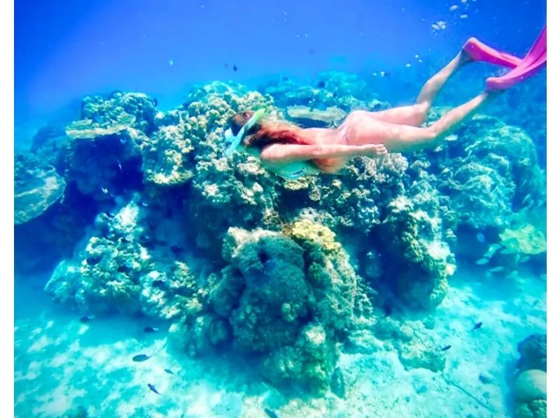 [沖繩/古宇利島]可前一天預約！在美麗海水族館附近的未開發海灘浮潛和清澈的 SUP 體驗！免費水下相機和無人機攝影！對於初學者和兒童是安全的の紹介画像