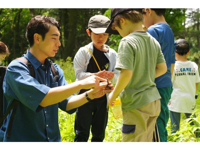 【東京】カブトムシの幼虫と春の昆虫探し！の紹介画像