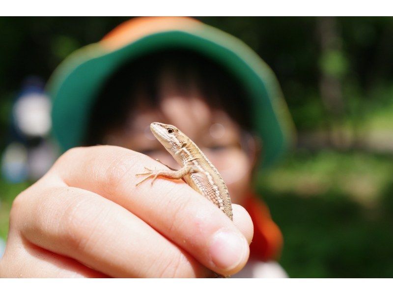 【東京】カブトムシの幼虫と春の昆虫探し！の紹介画像