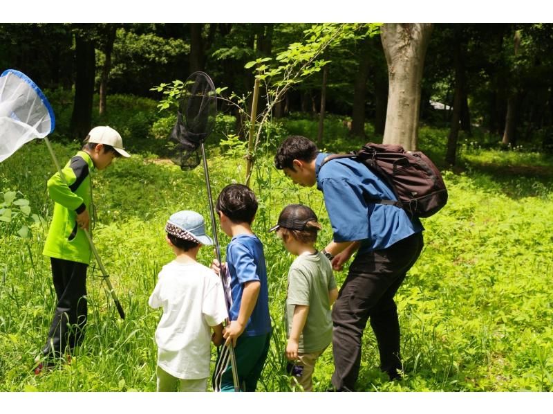 【東京】カブトムシの幼虫と春の昆虫探し！の紹介画像