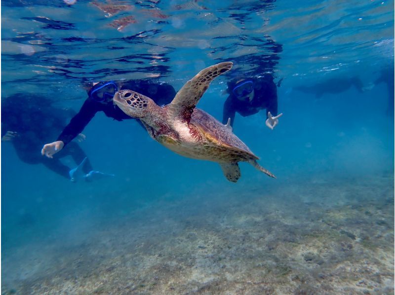 [Okinawa, Miyakojima] A great value set tour! A great value tour that combines the popular sea kayaking tour and sea turtle snorkeling tour!  の紹介画像