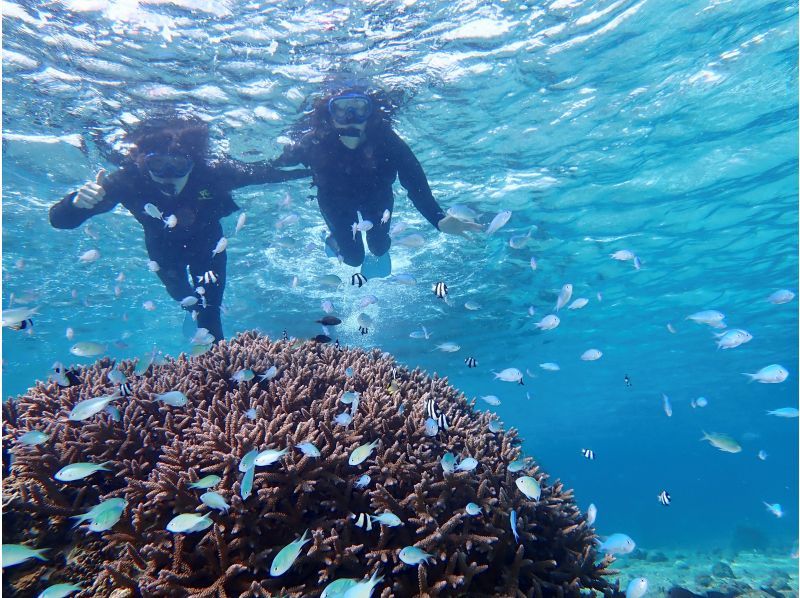 【오키나와 미야코지마】유니노하마 or 맹그로브 정글을 선택할 수 있다! 인기 카약 투어 & 바다 거북 스노클링이 세트로 싸게 유익합니다 ♪の紹介画像