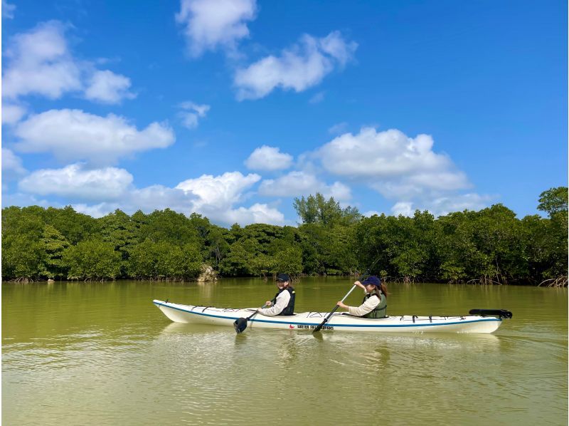 [Okinawa, Miyakojima] Full of nature! Mangrove jungle kayak tour! Miyakojima's rare mangrove ★ Hidden spot ♪の紹介画像