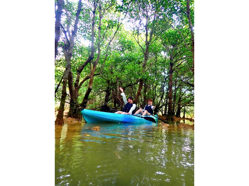 [Okinawa, Miyakojima] Full of nature! Mangrove jungle kayak tour! Miyakojima's rare mangrove ★ Hidden spot ♪の紹介画像