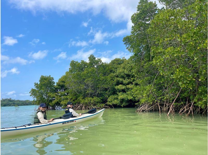 [Okinawa, Miyakojima] Full of nature! Mangrove jungle kayak tour! Head to Miyakojima's No. 1 mangrove spot ★ Your destination is a hidden spot ♪の紹介画像