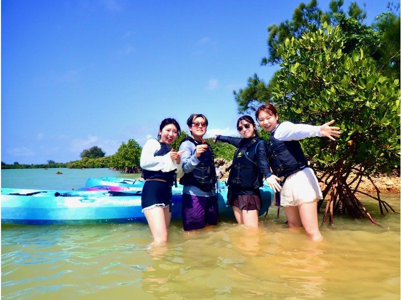 [Okinawa, Miyakojima] Full of nature! Mangrove jungle kayak tour! Head to Miyakojima's No. 1 mangrove spot ★ Your destination is a hidden spot ♪の紹介画像