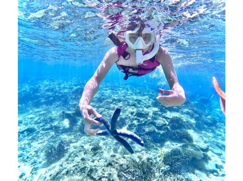 沖縄No1 ビーチを貸し切り‼︎シュノーケリング【90分】ジャングリア・美ら海水族館・古宇利島近く！高画質水中カメラ撮影無料♪♪の紹介画像