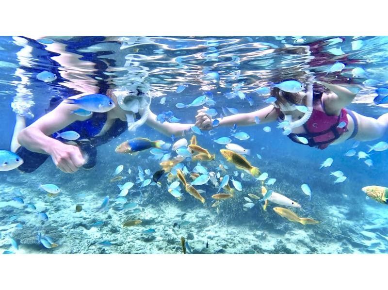 沖縄No1 ビーチを貸し切り‼︎シュノーケリング【90分】ジャングリア・美ら海水族館・古宇利島近く！高画質水中カメラ撮影無料♪♪の紹介画像