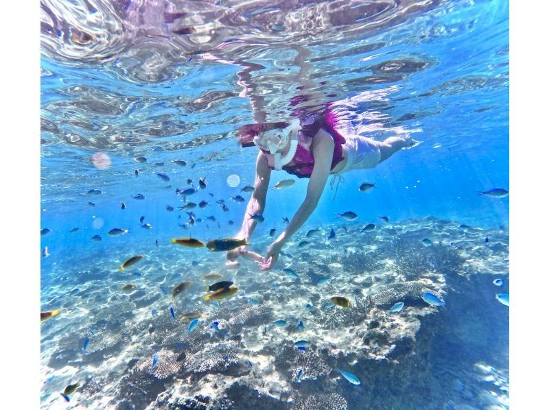 沖縄No1 ビーチを貸し切り‼︎シュノーケリング【90分】ジャングリア・美ら海水族館・古宇利島近く！高画質水中カメラ撮影無料♪♪の紹介画像