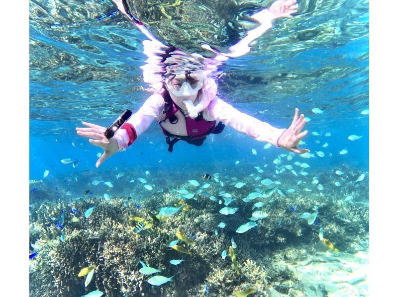 沖縄No1 ビーチを貸し切り‼︎シュノーケリング【90分】ジャングリア・美ら海水族館・古宇利島近く！高画質水中カメラ撮影無料♪♪の紹介画像