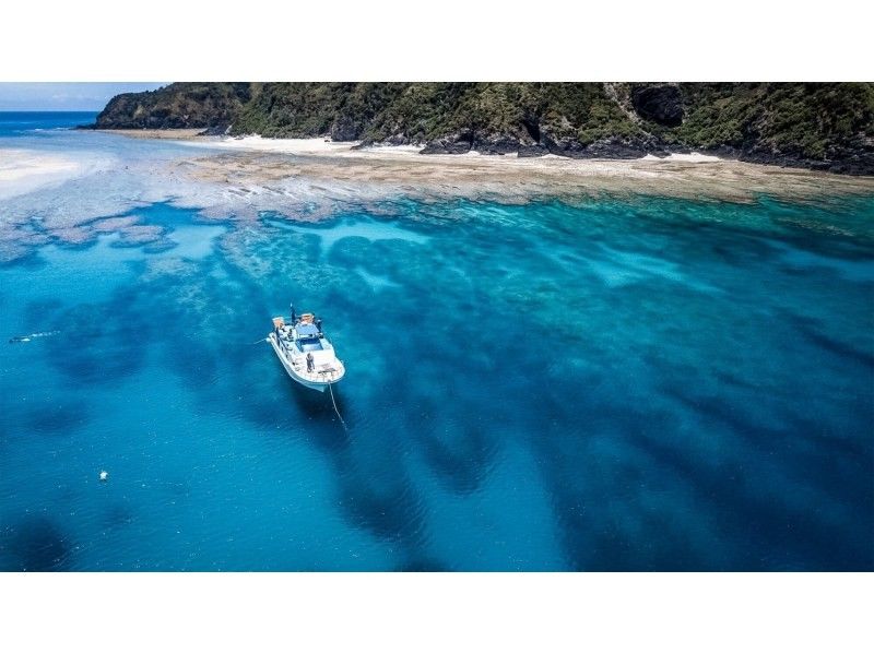 感動のケラマブルー！！透明度抜群の慶良間で2ボートダイブ【那覇発・1日・撮影データ無料プレゼント♪那覇市内送迎付】の紹介画像