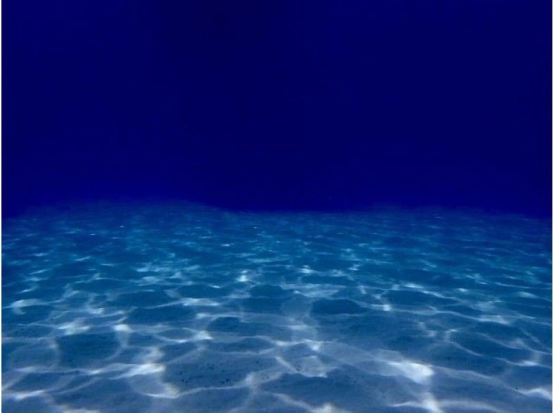 感動のケラマブルー！！透明度抜群の慶良間で2ボートダイブ【那覇発・1日・撮影データ無料プレゼント♪那覇市内送迎付】の紹介画像