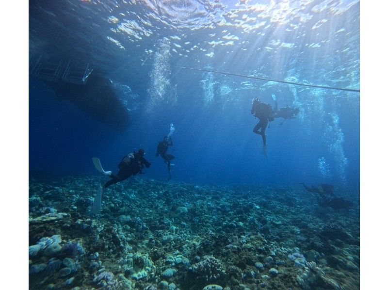 【那覇発】完全少人数制　PADIオープンウォーター講習｜器材無料＆動画プレゼント♪の紹介画像
