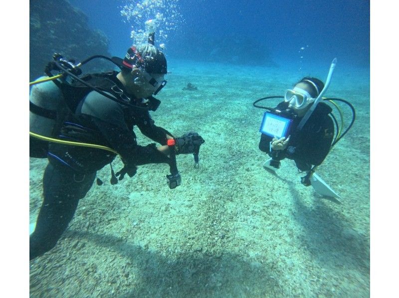 【那覇発】完全少人数制　PADIオープンウォーター講習｜器材無料＆動画プレゼント♪の紹介画像