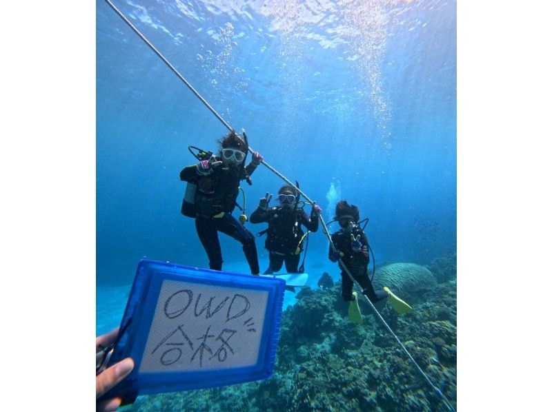 【那覇発】完全少人数制　PADIオープンウォーター講習｜器材無料＆動画プレゼント♪の紹介画像