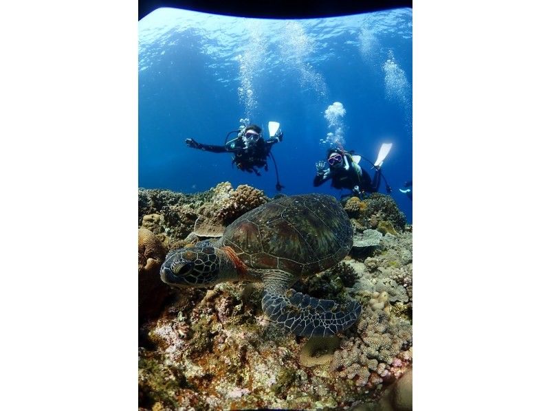 【那覇発】完全少人数制　PADIオープンウォーター講習｜器材無料＆動画プレゼント♪の紹介画像