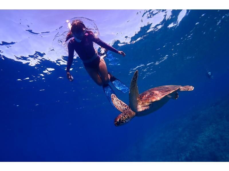 [Year-round tour in Ishigaki Island] A one-day snorkel tour that visits the best spots for manta rays and sea turtles! During the winter season, aim for manta rays on the surface of the water. ♪ From December to the end of March!の紹介画像