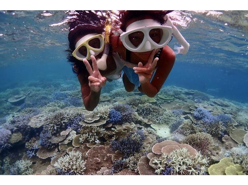 [Year-round tour in Ishigaki Island] A one-day snorkel tour that visits the best spots for manta rays and sea turtles! During the winter season, aim for manta rays on the surface of the water. ♪ From December to the end of March!の紹介画像