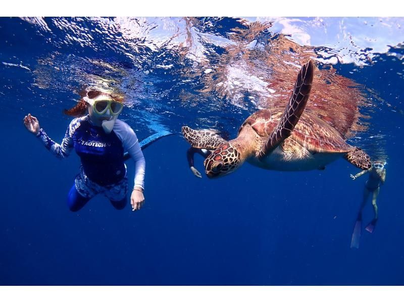 [Year-round tour in Ishigaki Island] A one-day snorkel tour that visits the best spots for manta rays and sea turtles! During the winter season, aim for manta rays on the surface of the water. ♪ From December to the end of March!の紹介画像