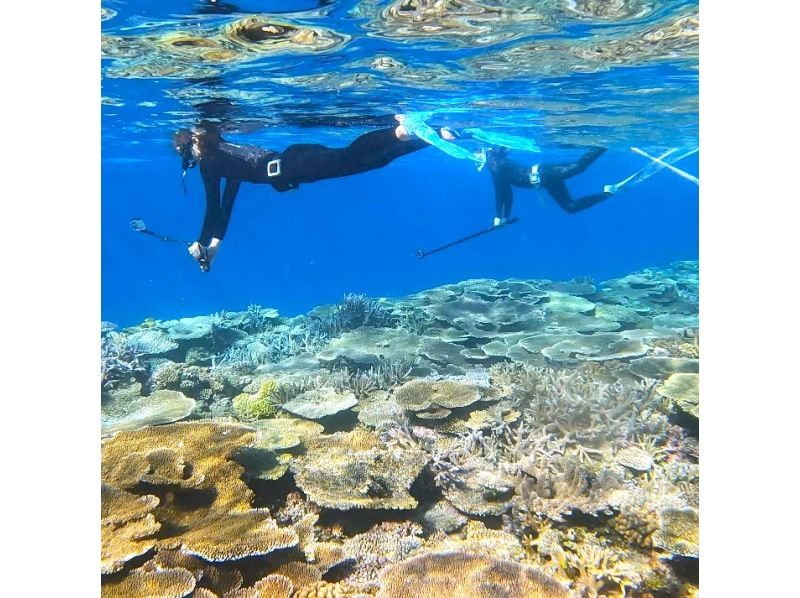 【沖縄・座間味島】写真動画撮ります♪手ぶら日帰り大歓迎♪シャワーとトイレ付、全面テント張りの大型グラスボートで美しい座間味の海をご案内♪の紹介画像