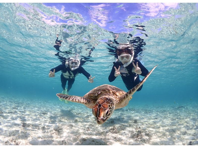 宮古島【ウミガメシュノーケルフォトツアー】遭遇率100%継続中！当日予約＆雨OK★必要機材＆高画質写真無料★少人数制アットホームツアー体験の紹介画像