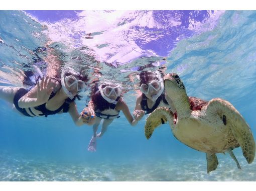 宮古島・2時間【大人気★ウミガメシュノーケルフォトツアー】必要機材&高画質写真付き・冬季限定温水シャワー付!安心安全アットホームな少人数制★ 宮古島・2時間【大人気★ウミガメシュノーケルフォトツアー】必要機材&高画質写真付き・冬季限定温水シャワー付!安心安全アットホームな少人数制★