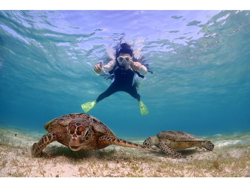[OPENSALE] Miyakojima, 2 hours, 100% chance of encountering a turtle [Sea turtle snorkel photo tour] At-home tour now available ◎ Free equipment rental & photos ◎の紹介画像