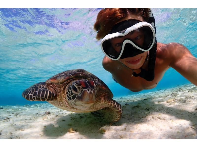 [OPENSALE] Miyakojima, 2 hours, 100% chance of encountering a turtle [Sea turtle snorkel photo tour] At-home tour now available ◎ Free equipment rental & photos ◎の紹介画像