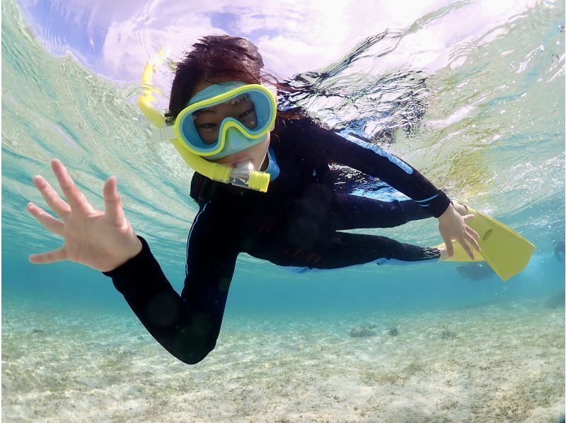 Miyakojima, 2 hours, sea turtles [High encounter rate ]