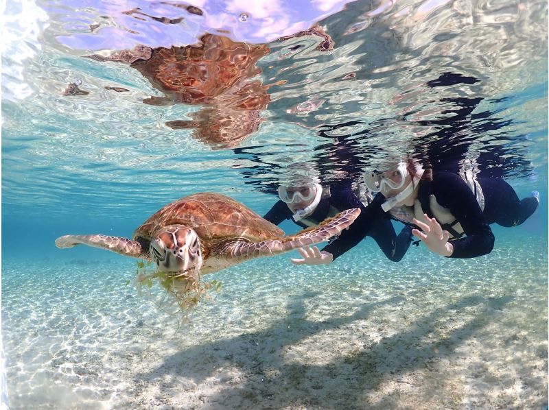 宮古島【ウミガメシュノーケルフォトツアー】遭遇率100%継続中！当日予約＆雨OK★必要機材＆高画質写真無料★少人数制アットホームツアー体験の紹介画像