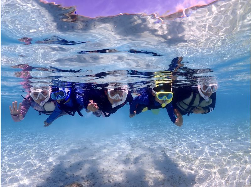 Miyakojima, 2 hours, sea turtles [High encounter rate ]