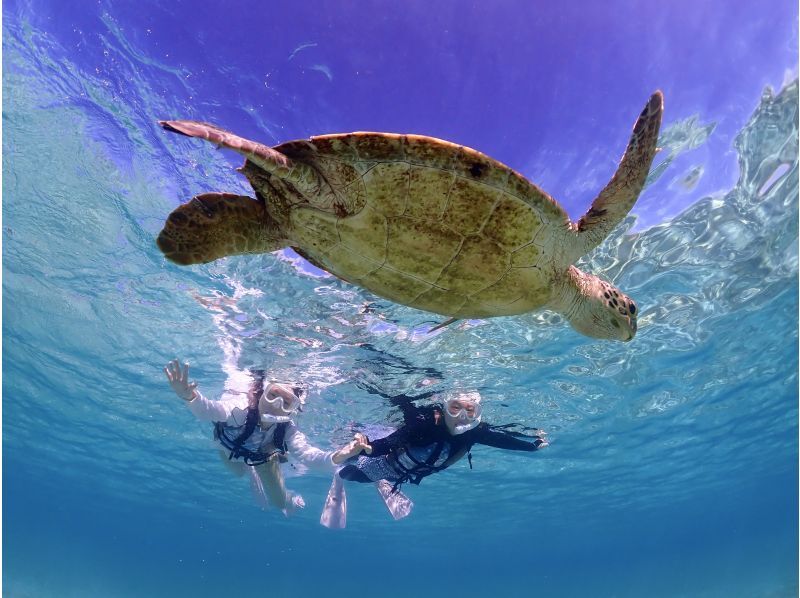 宮古島・2時間【大人気★ウミガメシュノーケルフォトツアー】必要機材＆高画質写真付き・冬季限定温水シャワー付！少人数制アットホームツアー♪の紹介画像