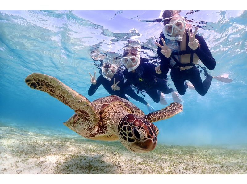 SALE! Miyakojima, Family Charter, 2 hours [Family Discount Sea Turtle Snorkel Photo Tour] 100% success rate {Equipment rental & photos all free} Ages 1 and up OKの紹介画像