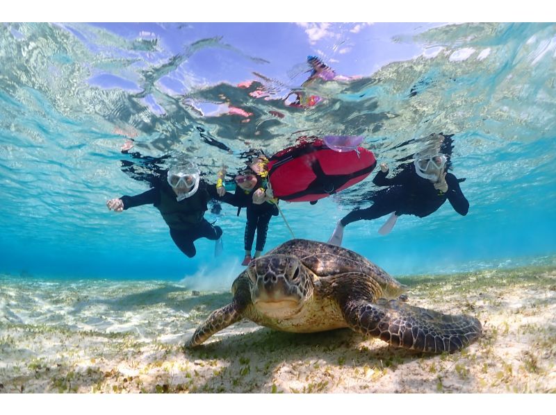 宮古島・2時間【ご家族貸切ウミガメシュノーケルフォトツアー】超お得家族貸切割！高品質写真＆動画付き★追加料金無し★1歳〜OKお子様料金有り！の紹介画像