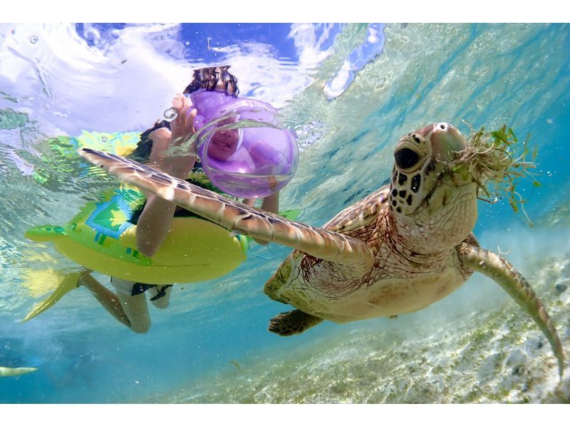 宮古島・家族貸切割引・2時間【ご家族貸切ウミガメシュノーケルフォトツアー】高品質写真＆動画付き【追加料金無し】1歳〜OK！お子様料金有り★の紹介画像