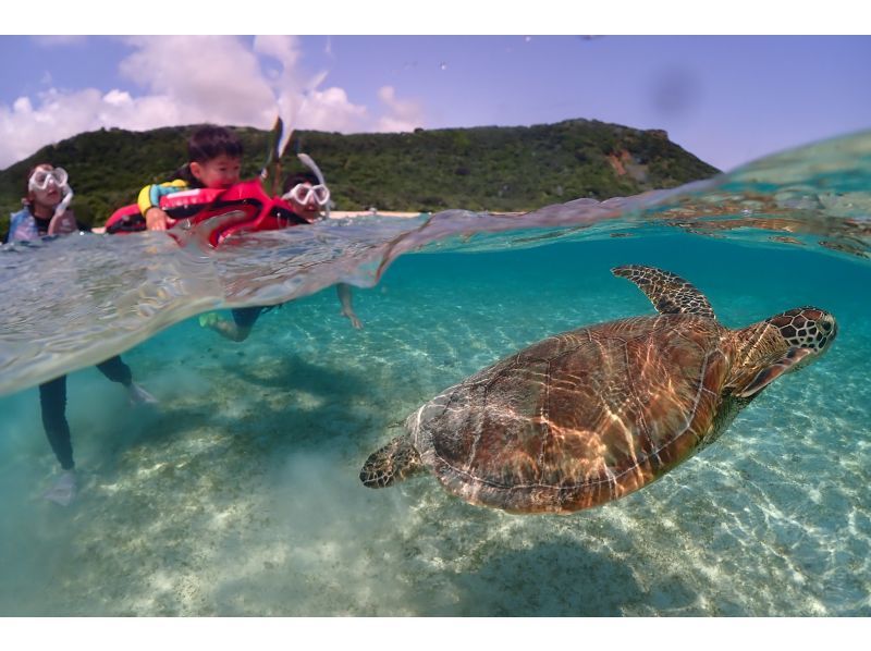 Miyakojima - Family Private Rental - 2 Hours [Family Only ★ Sea Turtle Snorkel Photo Tour] 100% success rate {All necessary equipment rental & photos are free} Ages 1 and up are OK!の紹介画像